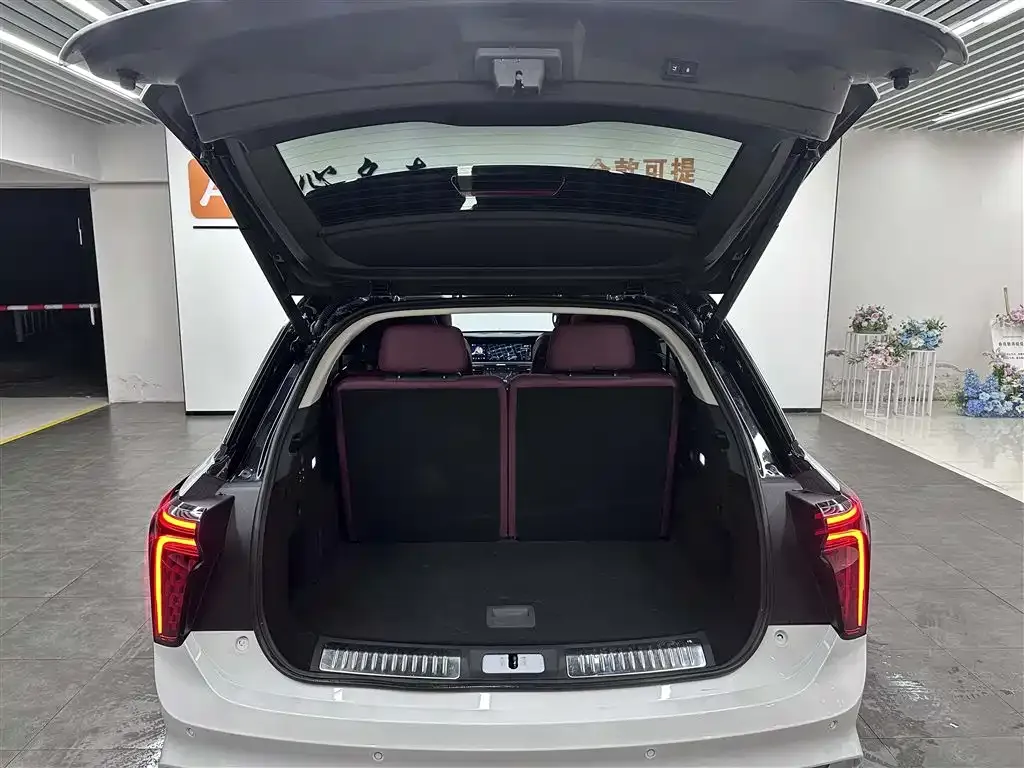 Hongqi E-HS9 2023 из CN, фото 7