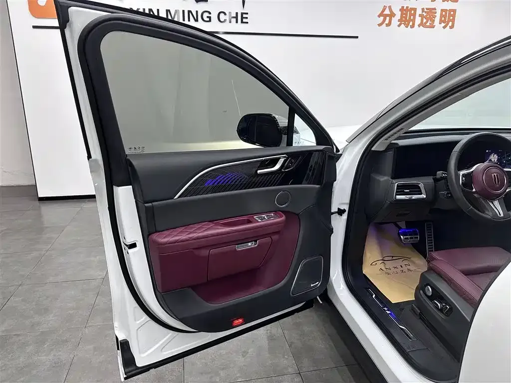Hongqi E-HS9 2023 из CN, фото 8
