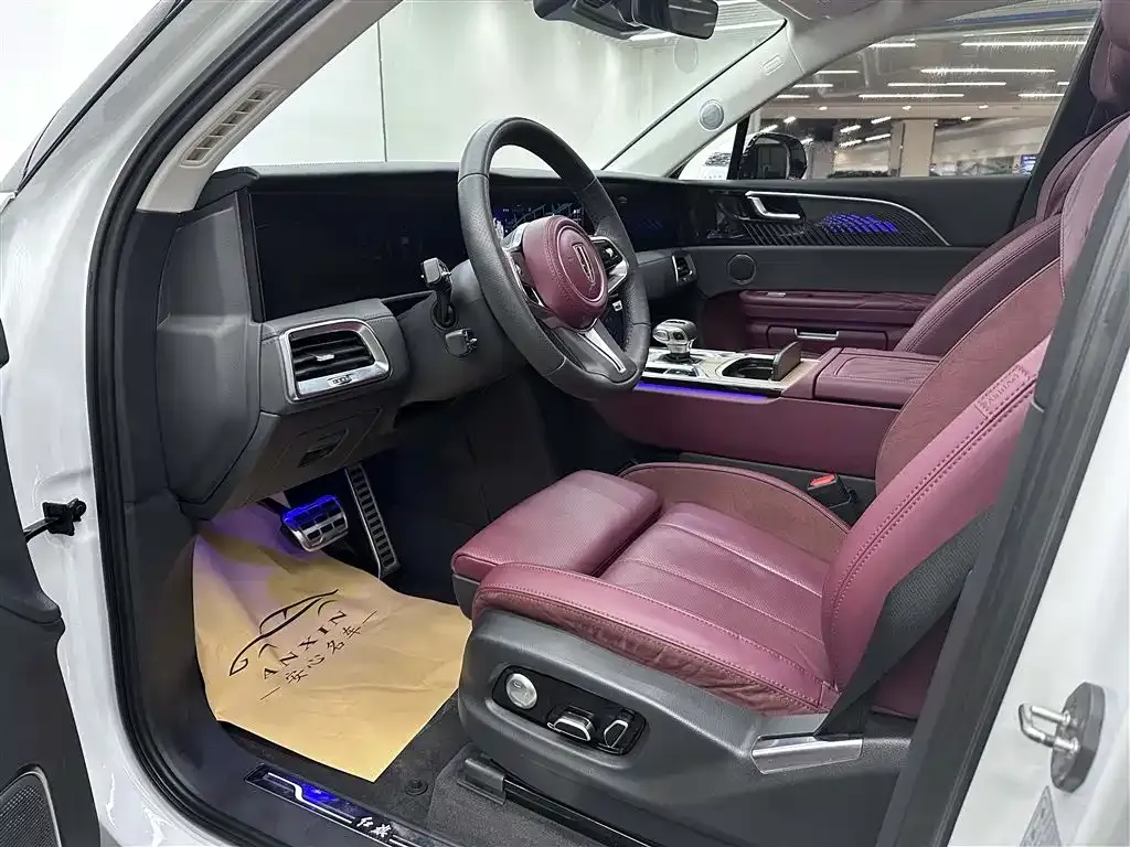 Hongqi E-HS9 2023 из CN, фото 5