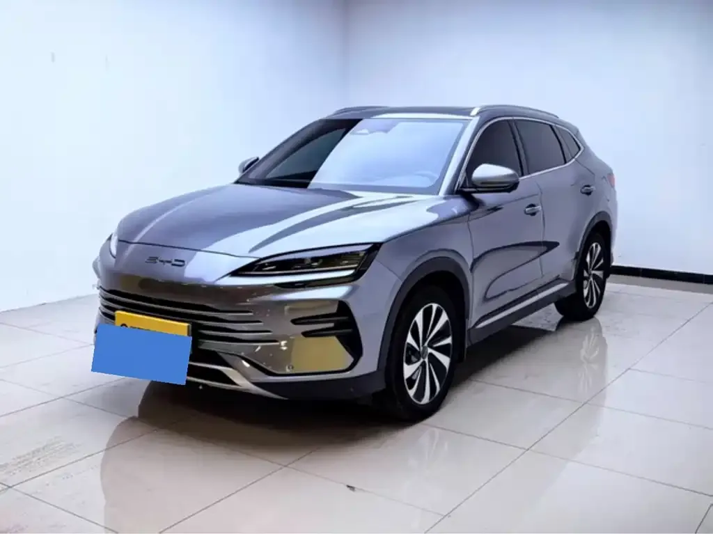 BYD PLUS New Energy — фото 1