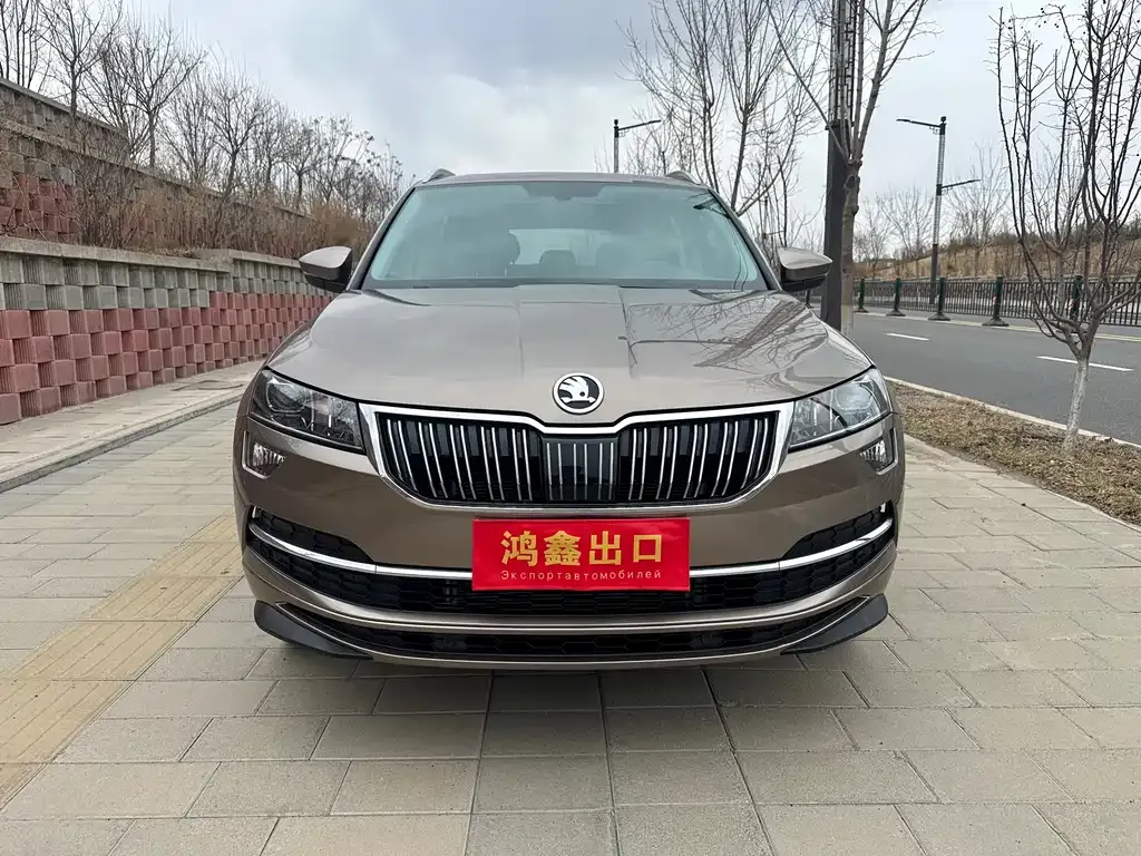Skoda Karoq — фото 10