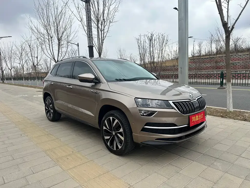 Skoda Karoq — фото 8