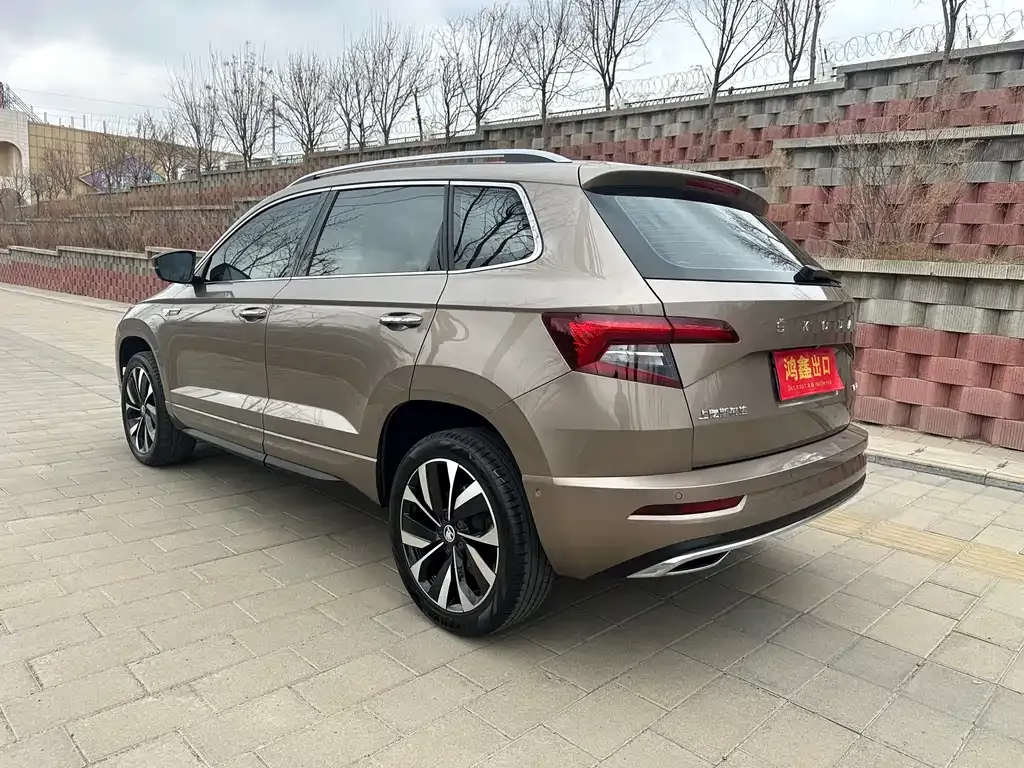 Skoda Karoq — фото 9