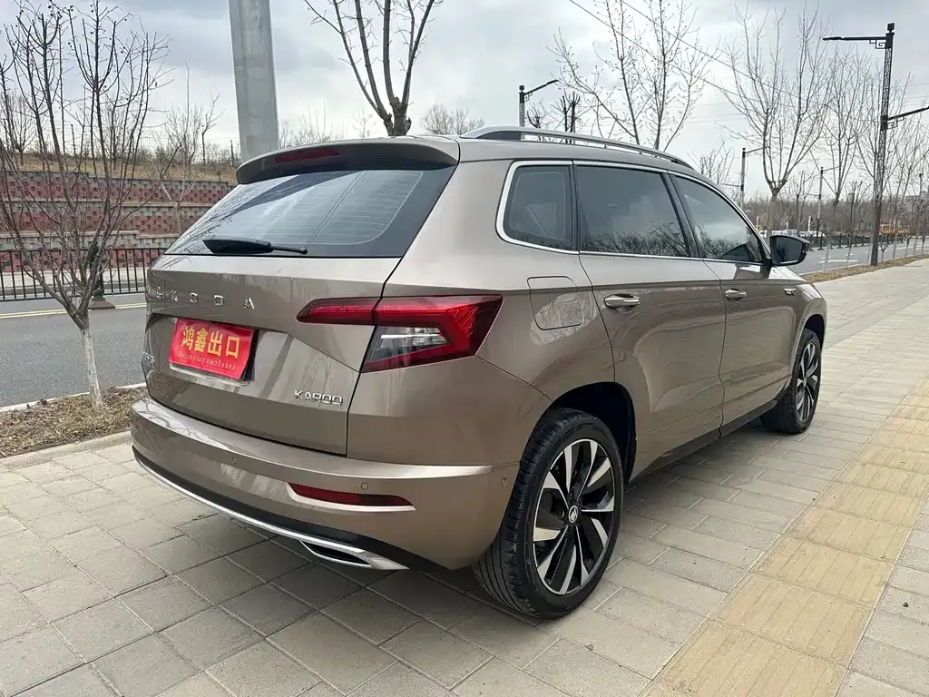Skoda Karoq — фото 7