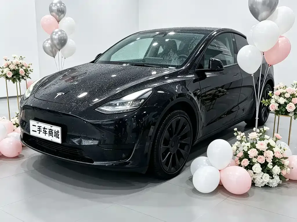 Tesla Model Y 2022 из CN, фото 1