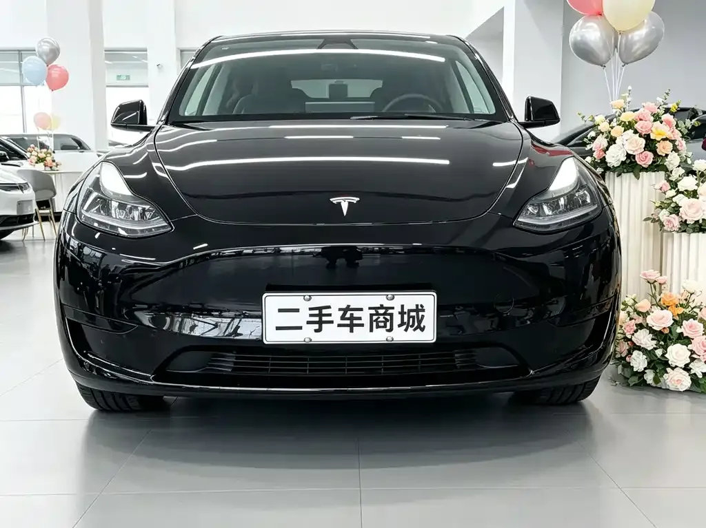 Tesla Model Y 2022 из CN, фото 5
