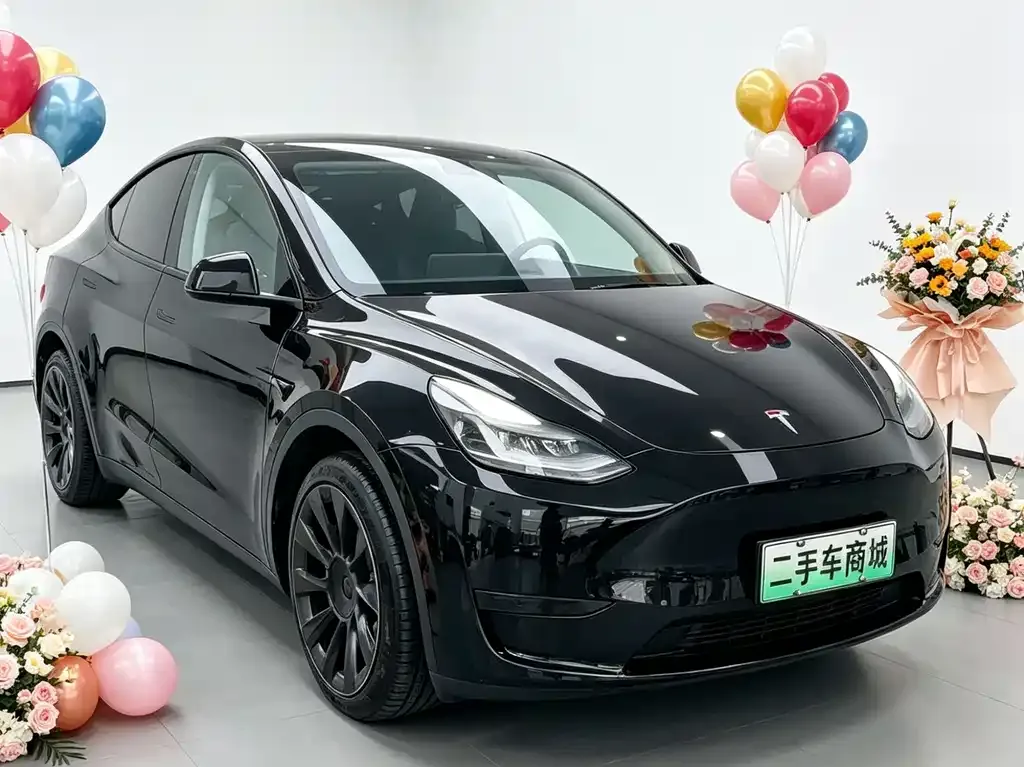 Tesla Model Y 2022 из CN, фото 6
