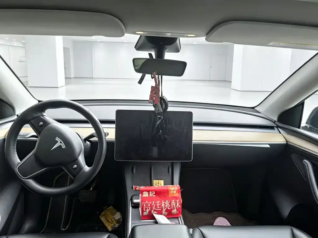 Tesla Model Y 2022 из CN, фото 3