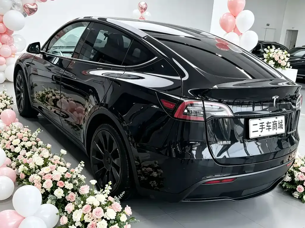 Tesla Model Y 2022 из CN, фото 7