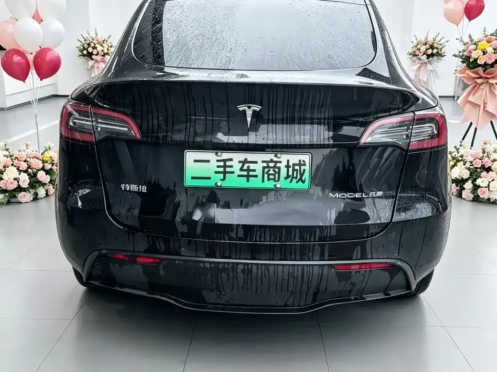 Tesla Model Y 2022 из CN, фото 4