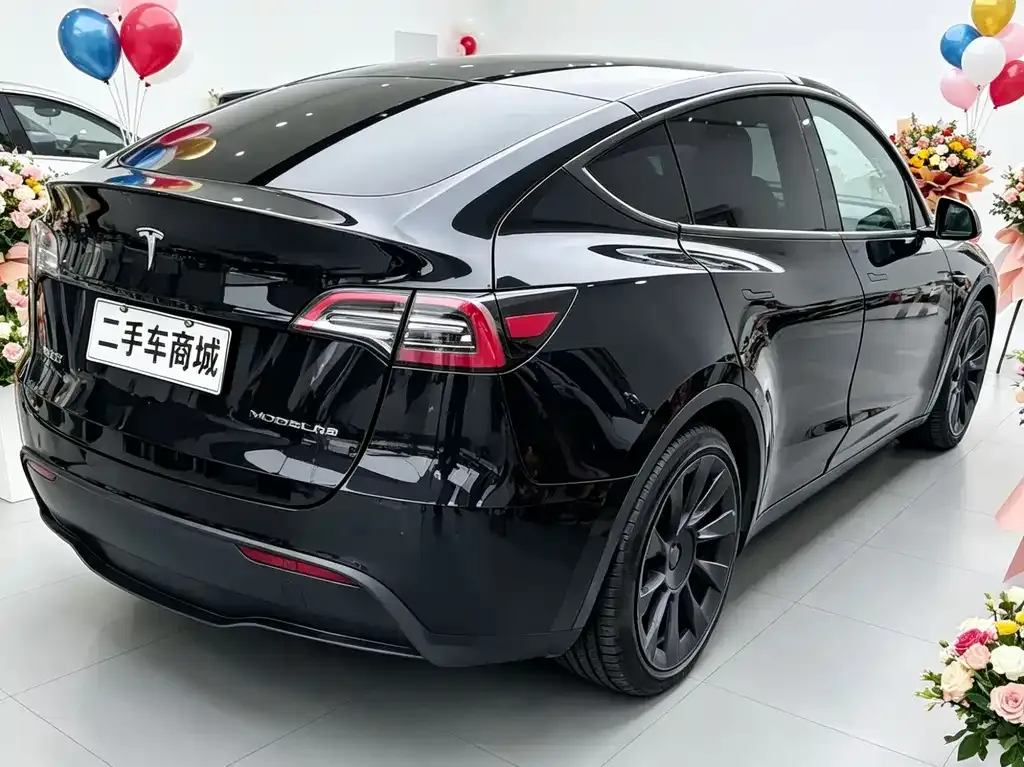 Tesla Model Y 2022 из CN, фото 2