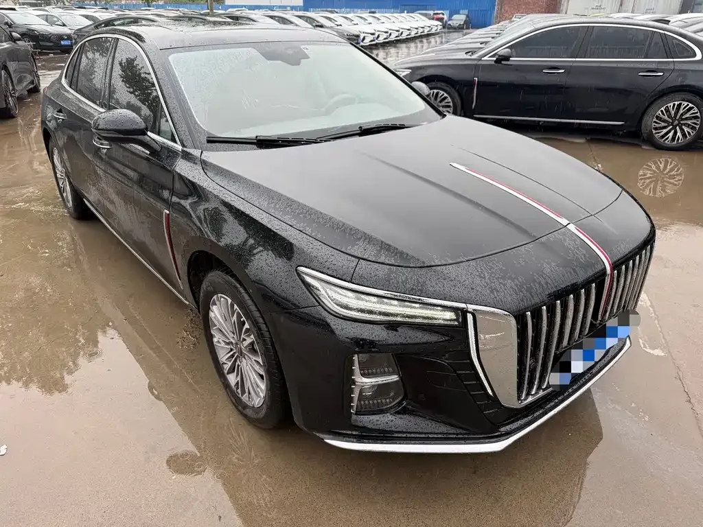 Hongqi H5 2023 из CN, фото 2