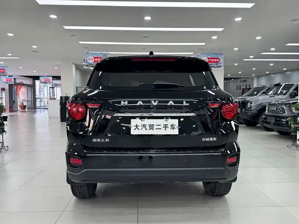 Haval H7 (Big Dog Plus) — фото 9