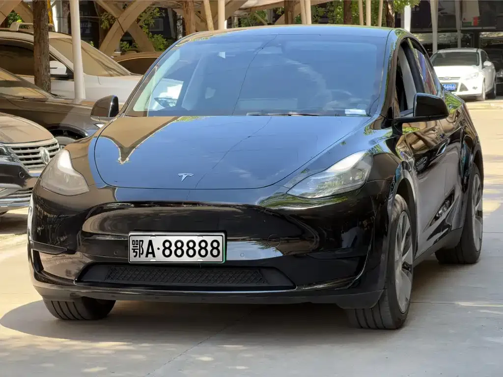 Tesla Model Y — фото 1