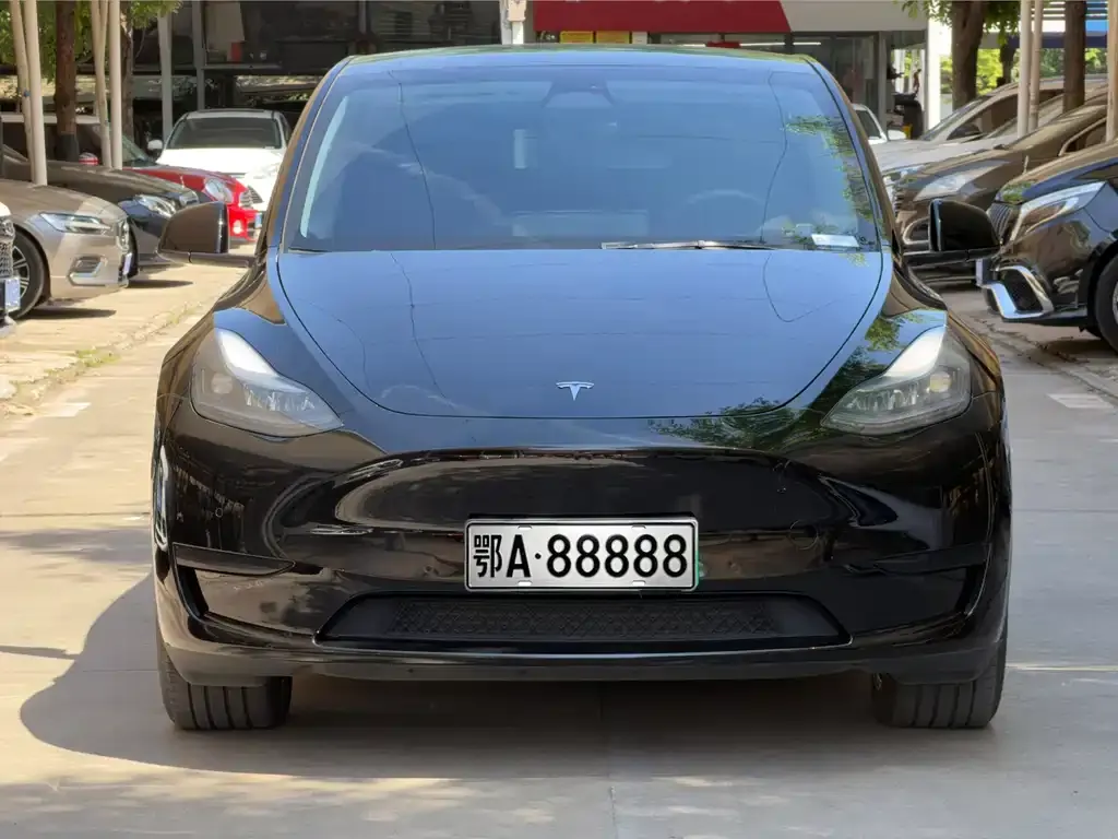 Tesla Model Y — фото 3