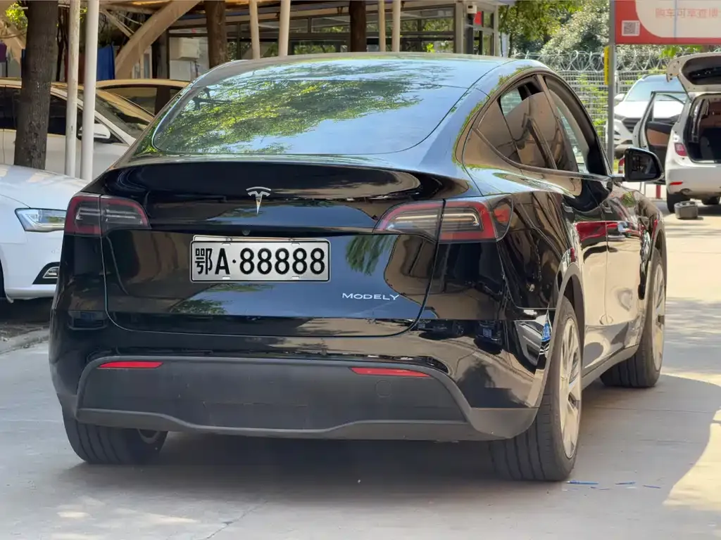 Tesla Model Y — фото 9