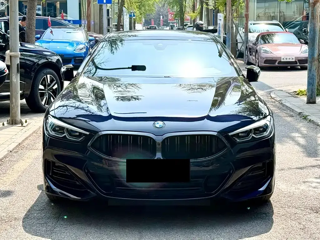 BMW 8 Series 2024 из CN, фото 8