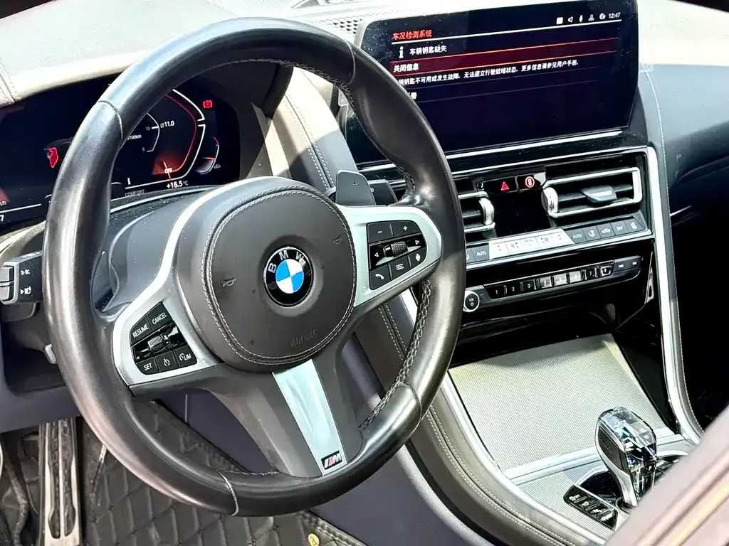BMW 8 Series 2024 из CN, фото 6