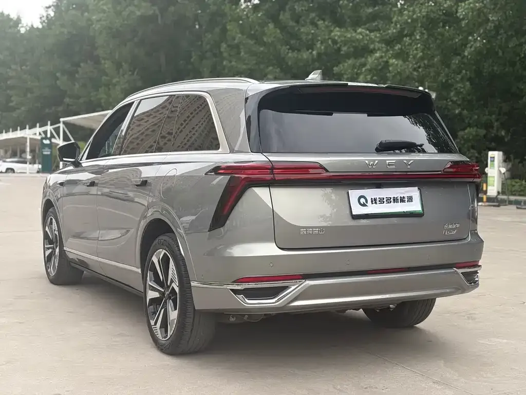 Wey Lanshan 2023 из CN, фото 6