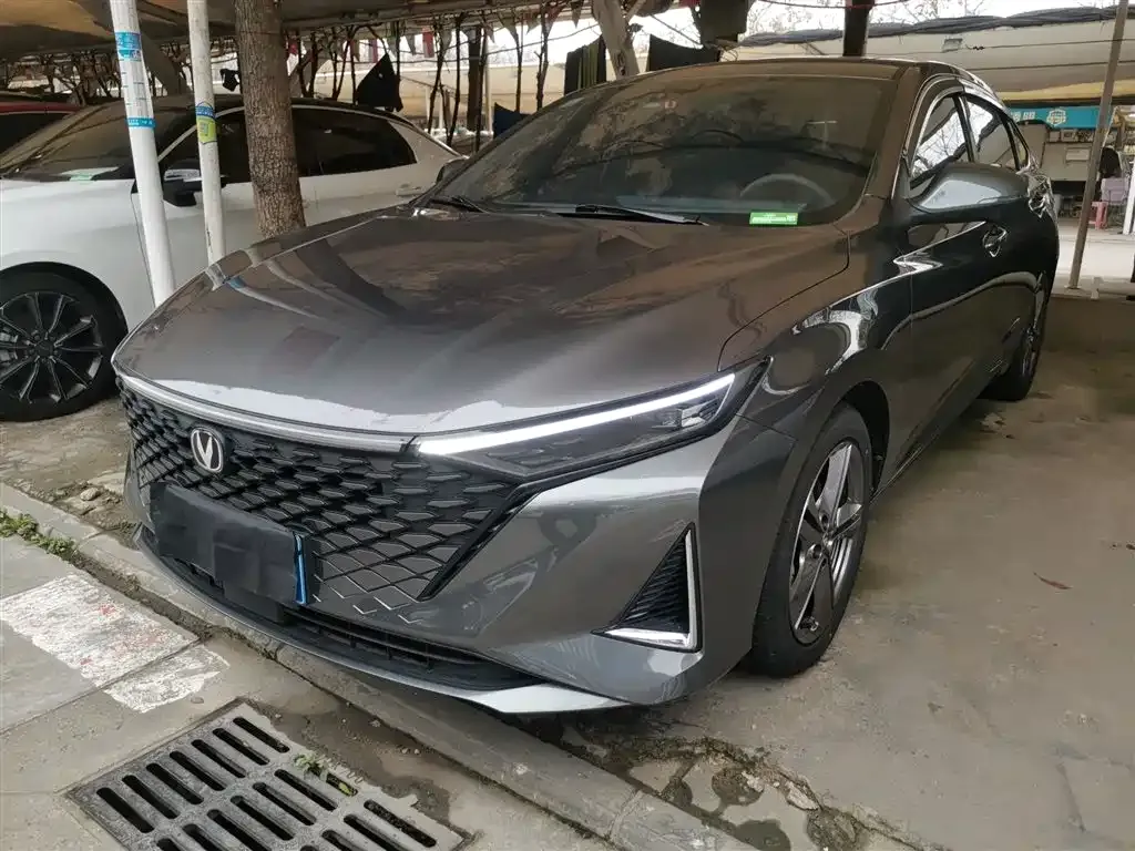 Changan Ruicheng PLUS 2024 из CN, фото 7