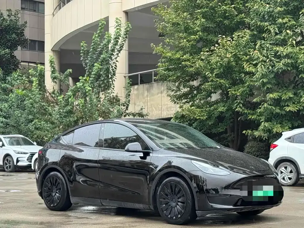 Tesla Model Y — фото 9