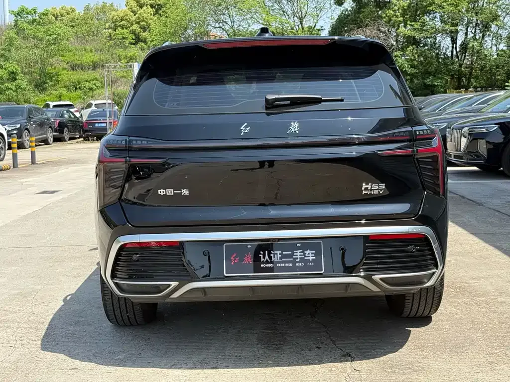 Hongqi HS3 PHEV 2024 из CN, фото 10