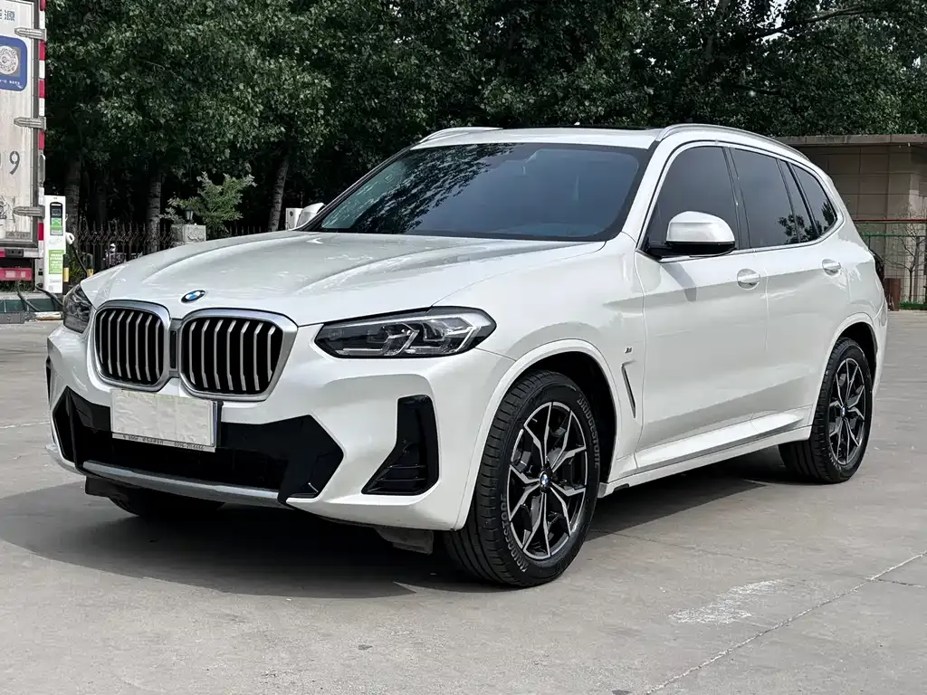 BMW X3 — фото 1
