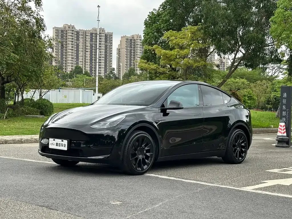 Tesla Model Y — фото 1