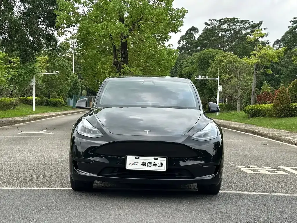 Tesla Model Y — фото 4