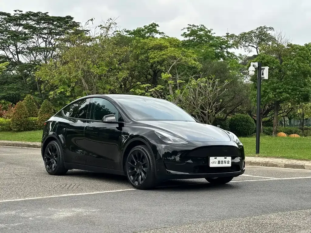 Tesla Model Y — фото 9