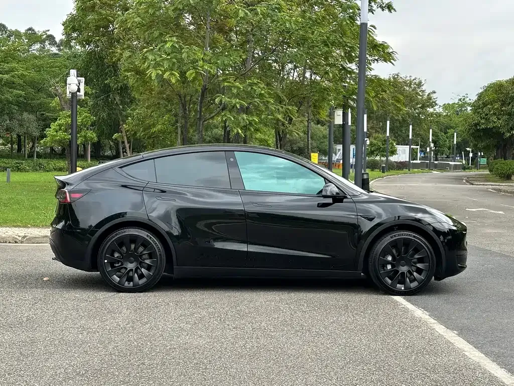 Tesla Model Y — фото 10