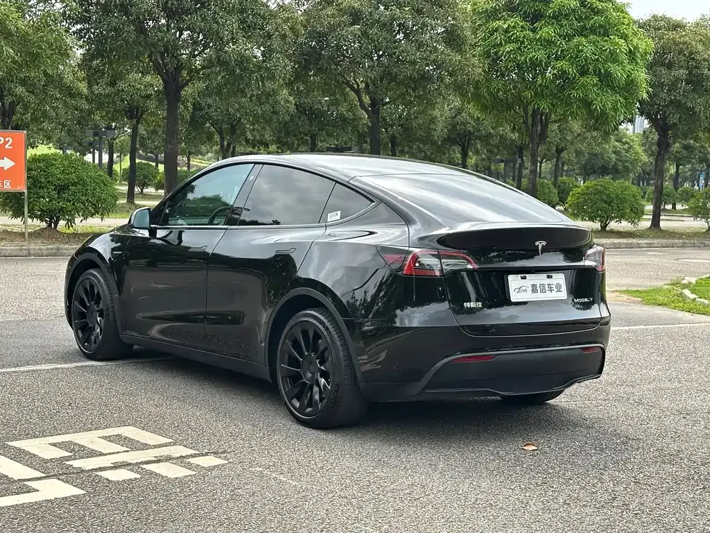Tesla Model Y — фото 5