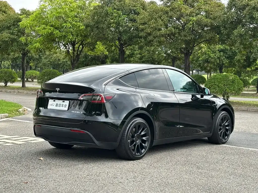 Tesla Model Y — фото 8