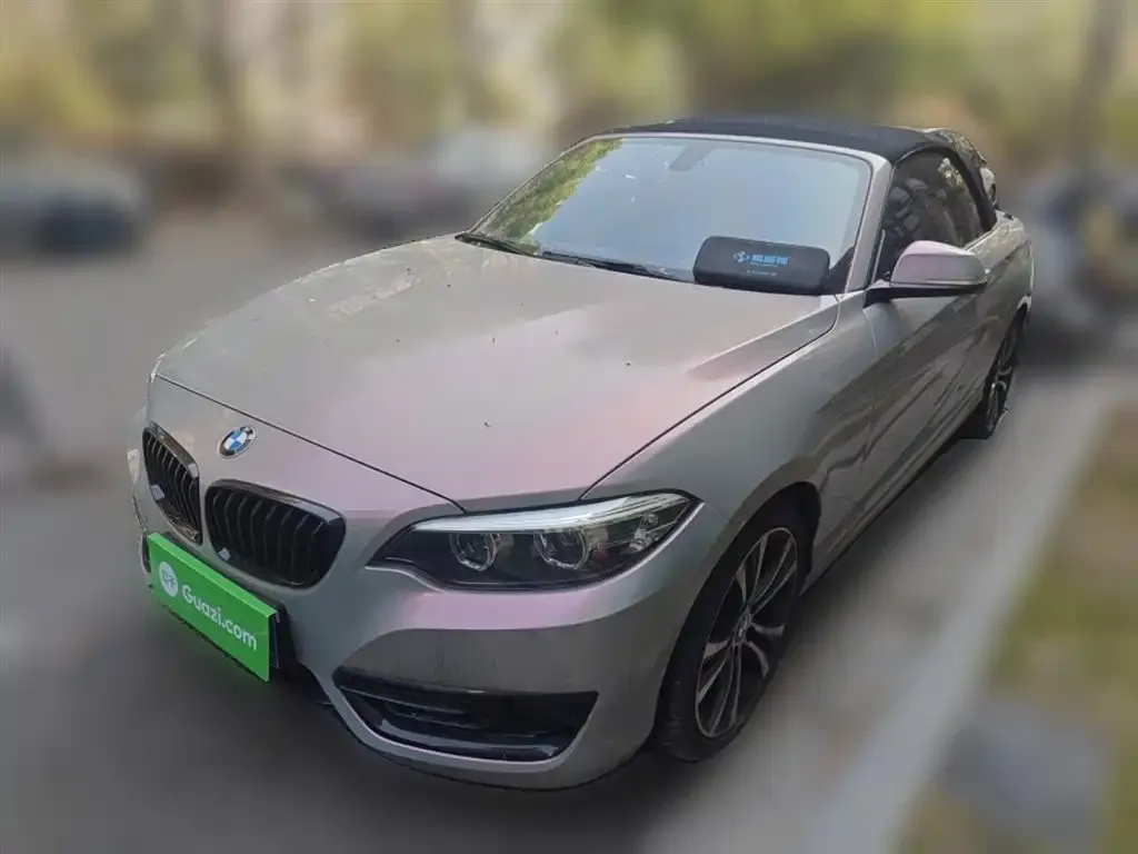 BMW 2 Series (Import)