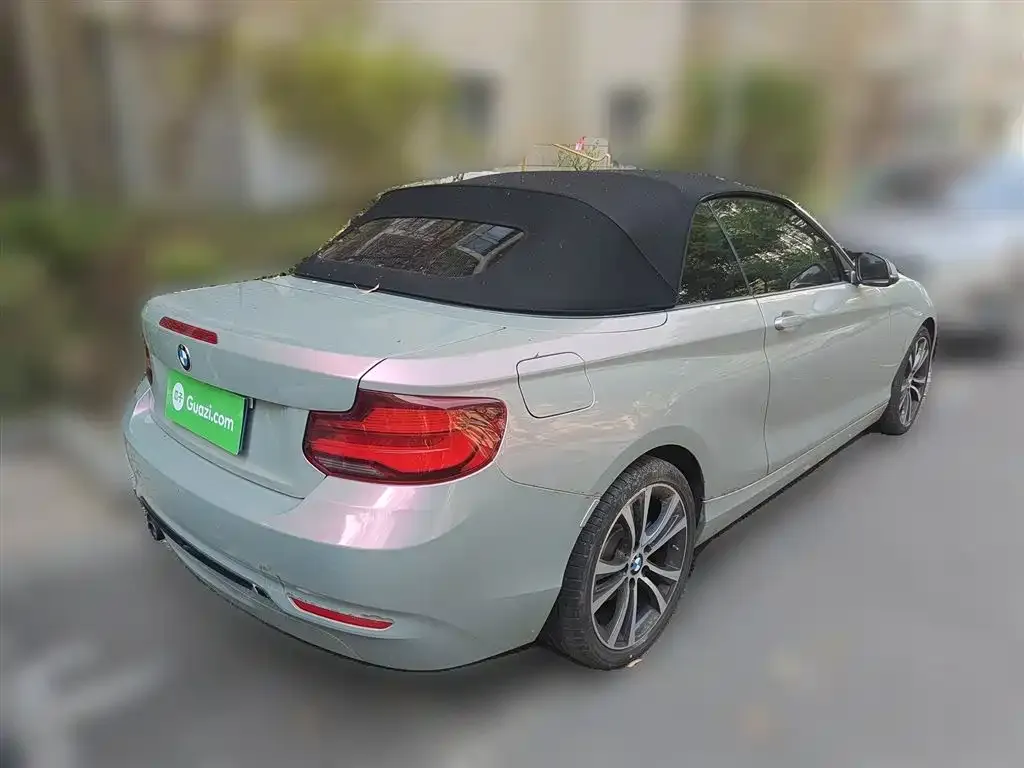 BMW 2 Series (Import) 2021 из CN, фото 4