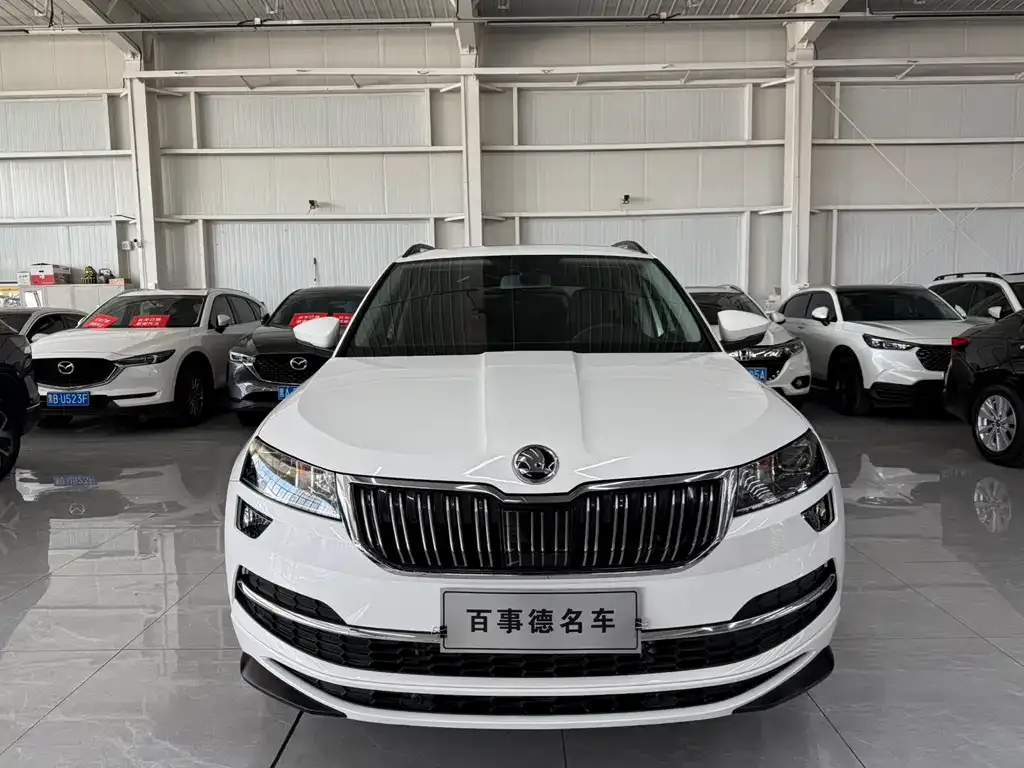 Skoda Karoq — фото 10