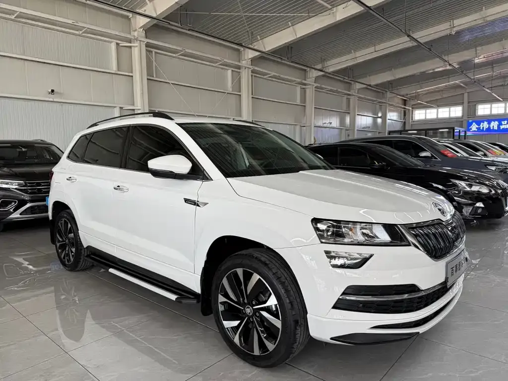 Skoda Karoq — фото 5