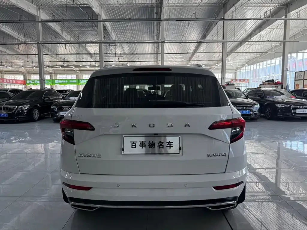Skoda Karoq — фото 6