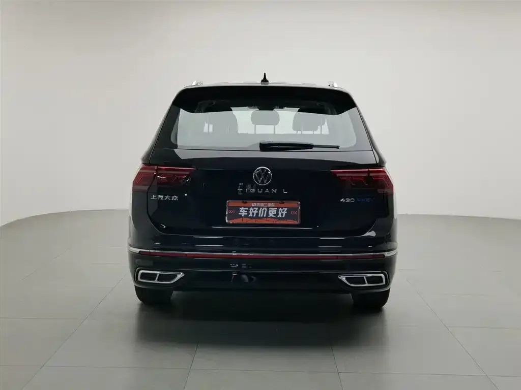Volkswagen Tiguan L New Energy 2024 из CN, фото 6