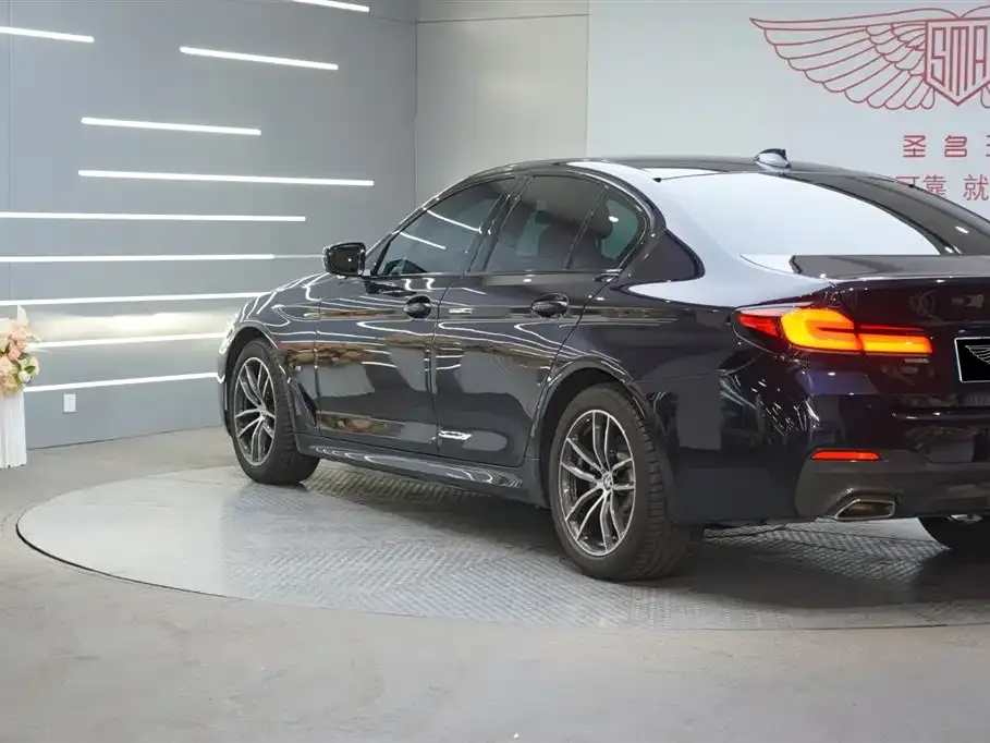 BMW 5 Series (Import) 2022 из CN, фото 5