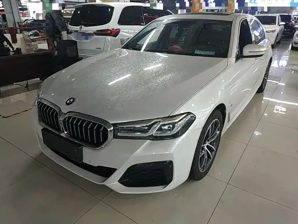 BMW 5 Series New Energy 2021 из CN, фото 5