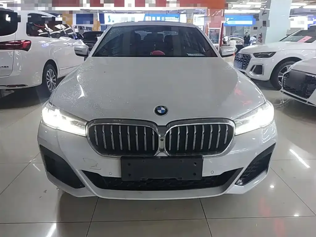 BMW 5 Series New Energy 2021 из CN, фото 8