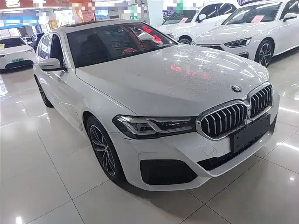 BMW 5 Series New Energy 2021 из CN, фото 4