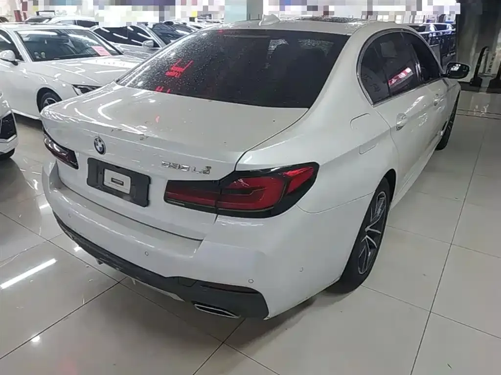 BMW 5 Series New Energy 2021 из CN, фото 10