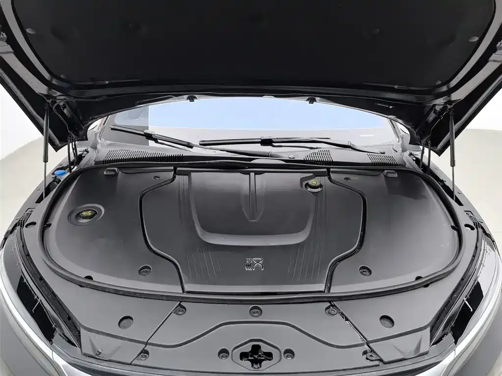 BYD Han — фото 8