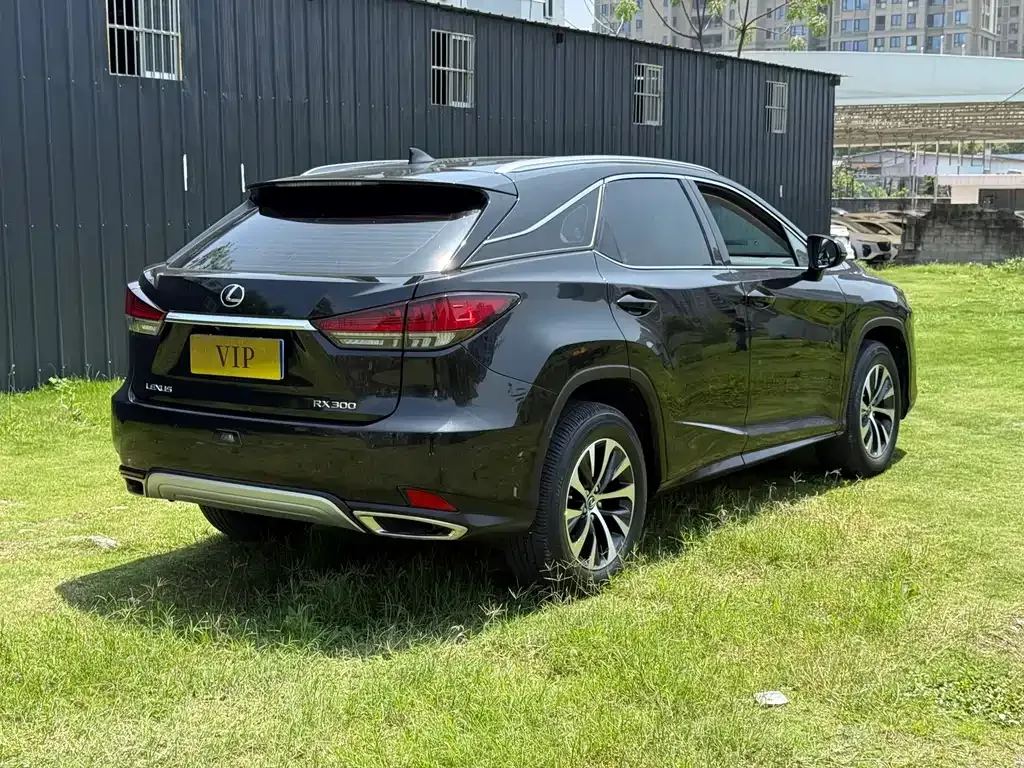 Lexus RX 2022 из CN, фото 10