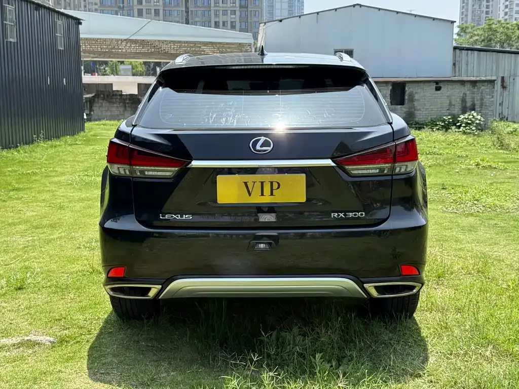 Lexus RX 2022 из CN, фото 4