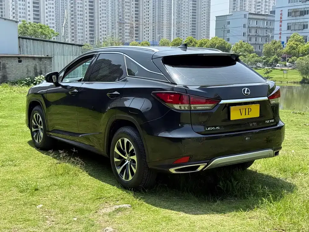 Lexus RX 2022 из CN, фото 8
