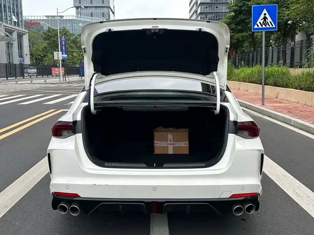 GAC Motor Shadow Leopard — фото 8