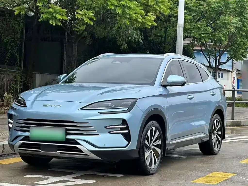BYD PLUS New Energy — фото 1